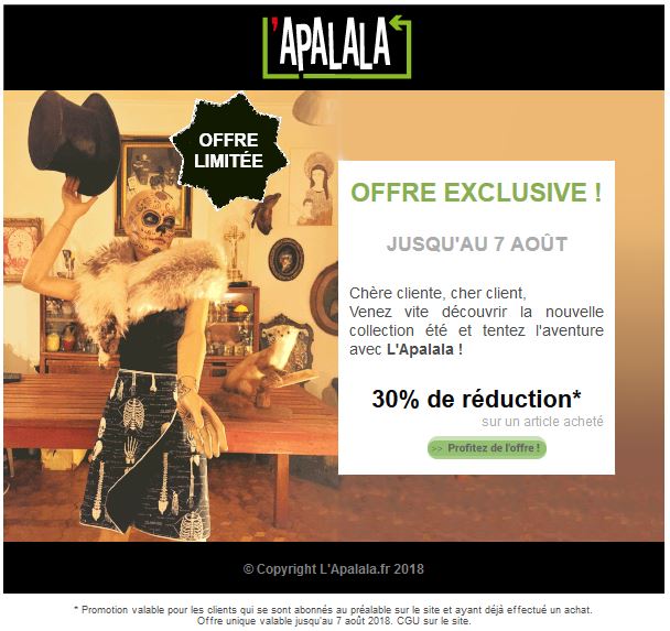 Idée de présentation en e-mailing pour l'Apalala, site de vente en ligne de vêtements réversibles en tissus vintage - magali redon